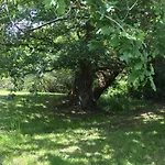 L'intemporelle Bed & Breakfast Ozourt