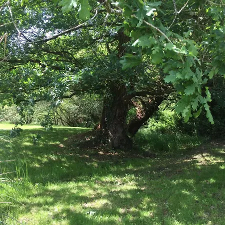 L'intemporelle Bed & Breakfast Ozourt