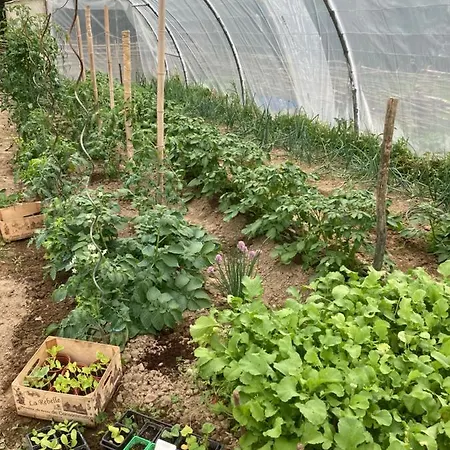 Bed & Breakfast L'intemporelle 3*