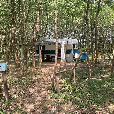 L'intemporelle Bed & Breakfast Ozourt