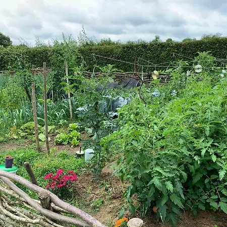 L'intemporelle Ozourt