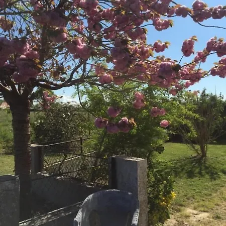 Bed & Breakfast L'intemporelle Ozourt