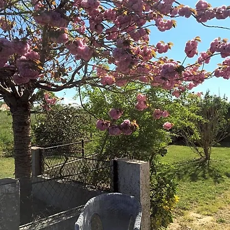 L'intemporelle Bed & Breakfast Ozourt