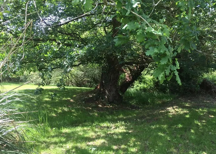 L'intemporelle Alojamento de Acomodação e Pequeno-almoço Ozourt