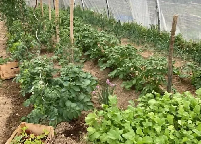 Alojamento de Acomodação e Pequeno-almoço L'intemporelle Ozourt