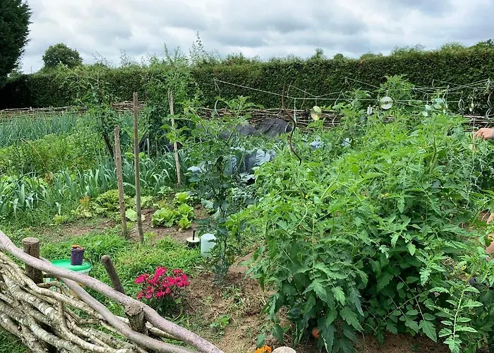 L'intemporelle Ozourt